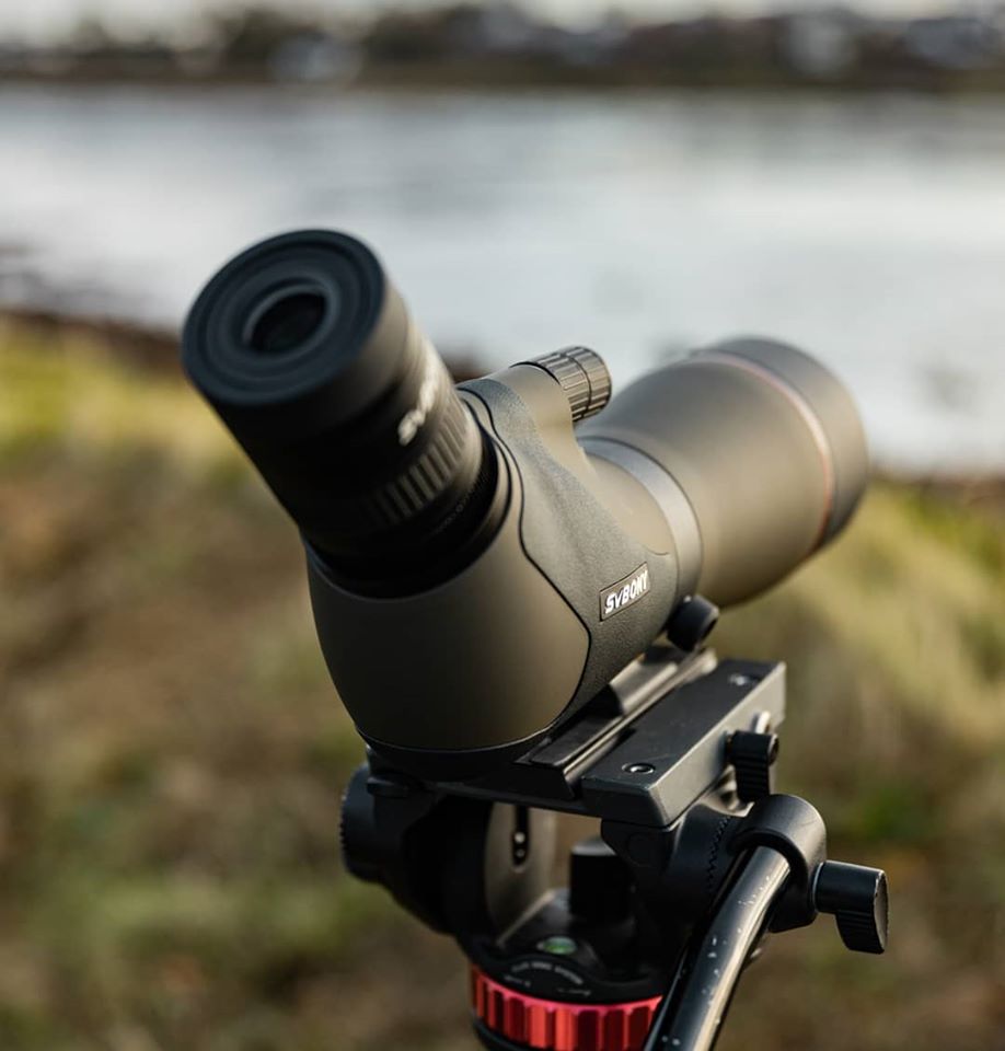 svbony 80mm bird watch spotting scope 20-60x zoom telescope photography suit filled with nitrogen waterproof photographing birds