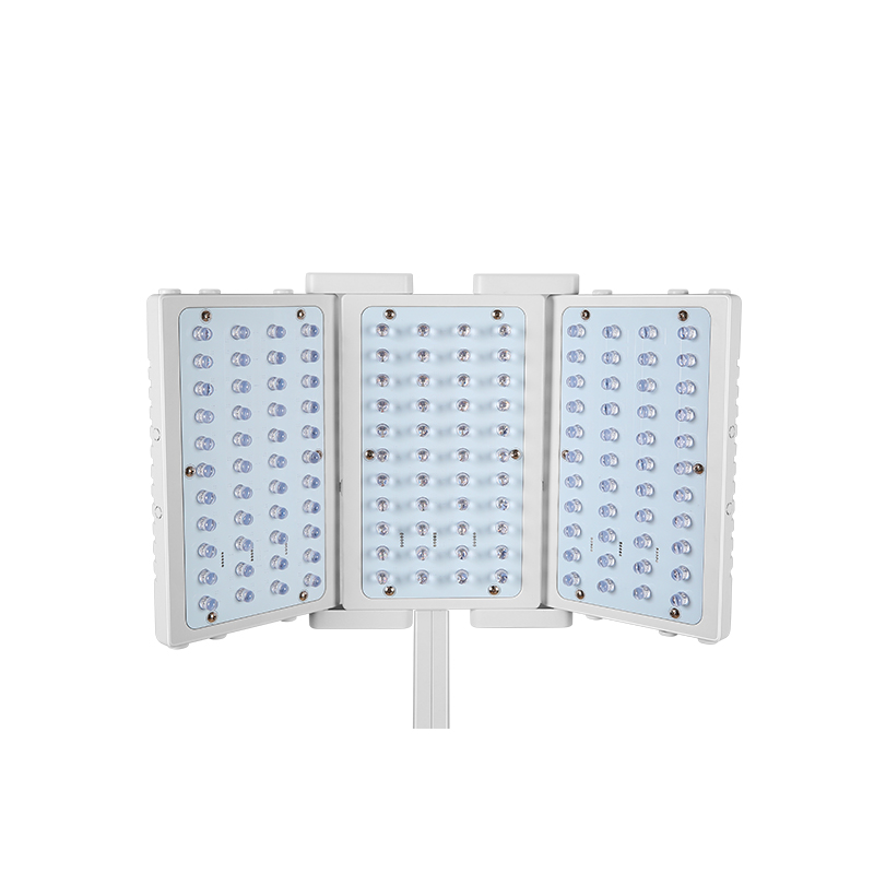 Multifunction 7 IN 1 Facial Whitening Beauty Equipment Dermabrasion Face Lift RF Cold Hammer Micro Current Facial Improve Essence Absorption Machine