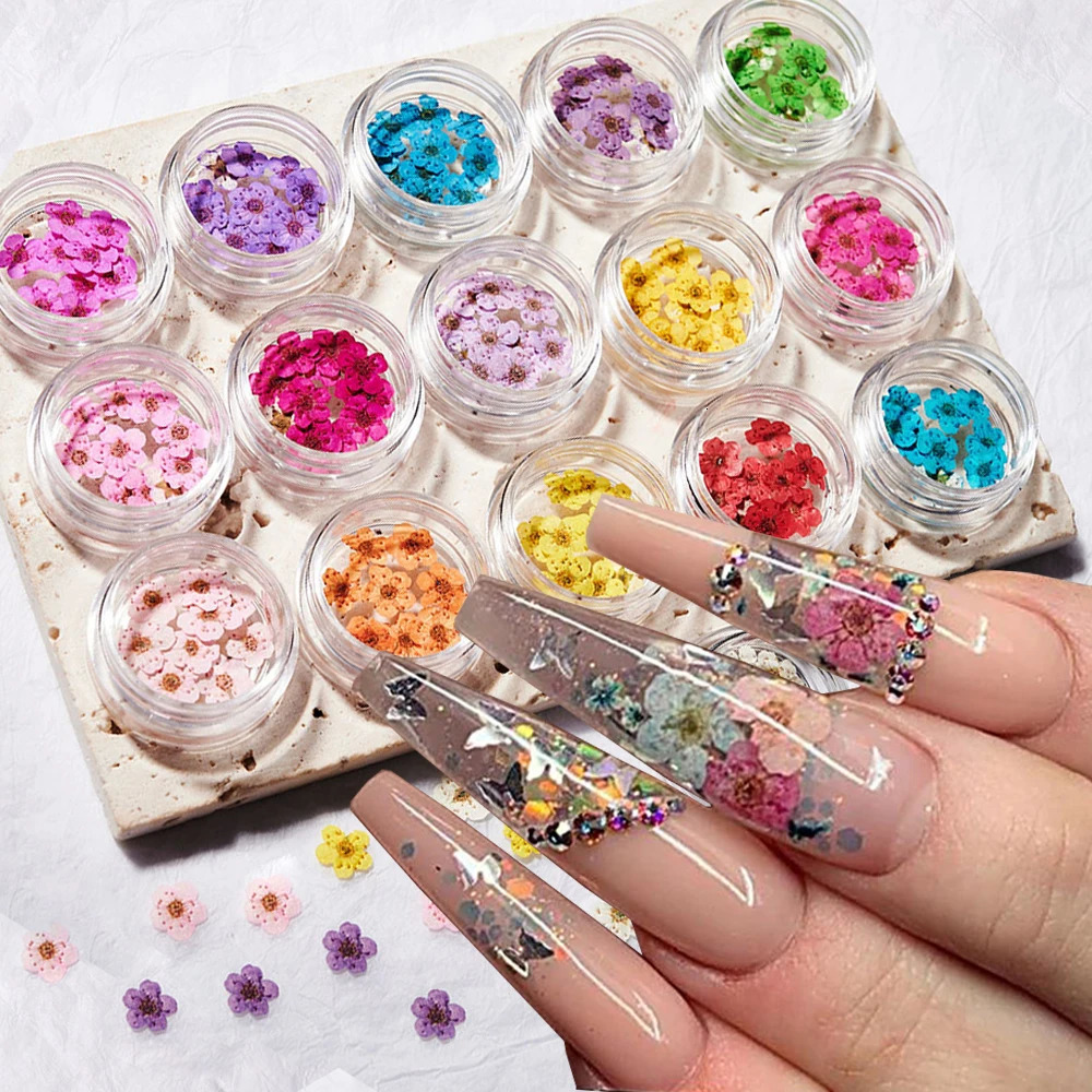 160Pcs/set of mixed dry flower nails 16 color mini genuine natural dry flower nail decoration DIY creative handmade products 240625