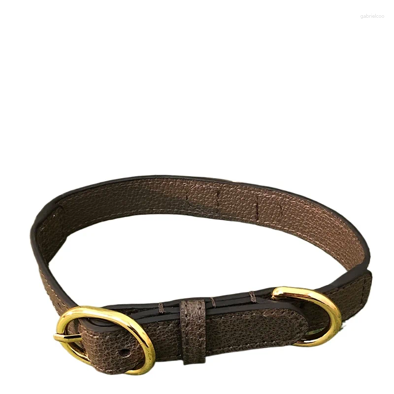 Dog Collars Pet Harness Set Original Design Puppy Lead Accessories Designer And Leash With Pop Bag Sets