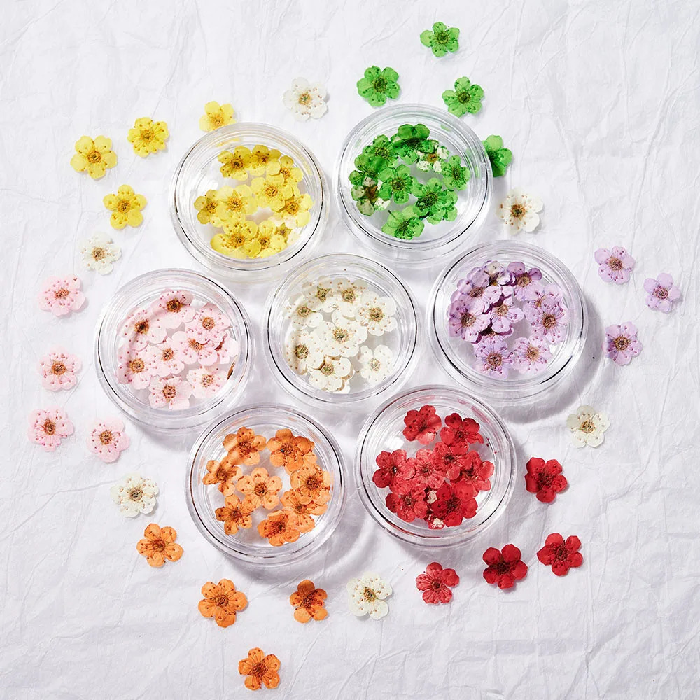 160Pcs/set of mixed dry flower nails 16 color mini genuine natural dry flower nail decoration DIY creative handmade products 240625