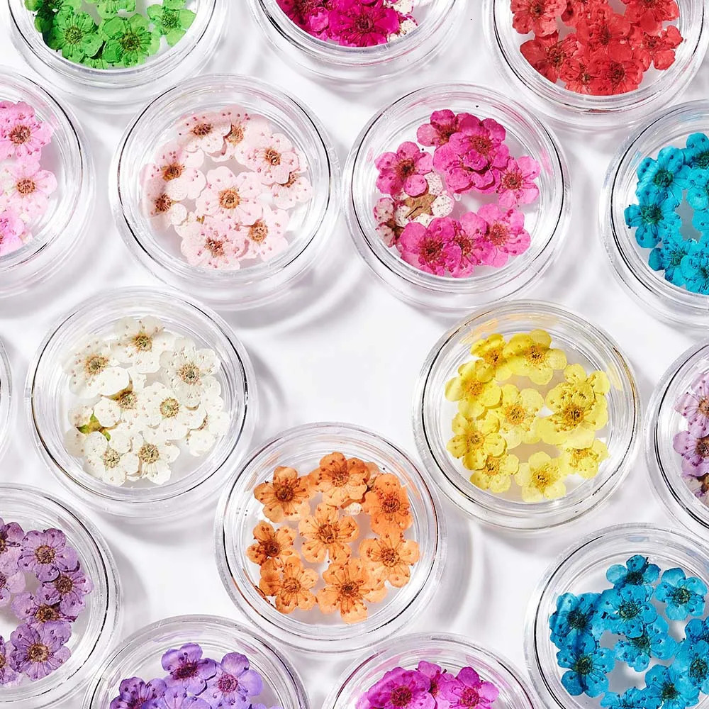 160Pcs/set of mixed dry flower nails 16 color mini genuine natural dry flower nail decoration DIY creative handmade products 240625