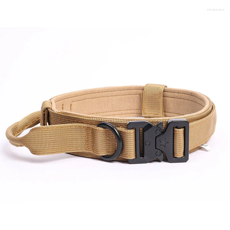 High quality Dog Collar Leash Set Classic Letters Pattern Leashes PU Leather Fashion Casual Adjustable Dogs Cats Neck Strap Cute Pet Collar