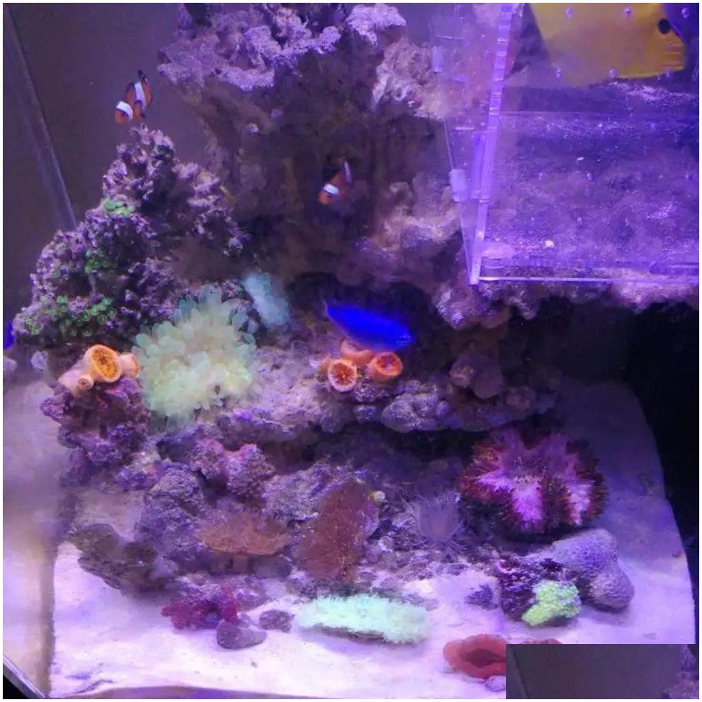 Aquariums Lighting Led Aquarium Light 30W Indoor Saltwater With Touch Control For Coral Reef Fish Tank Eu Plug Y200922 Drop Delivery Ot1Pl