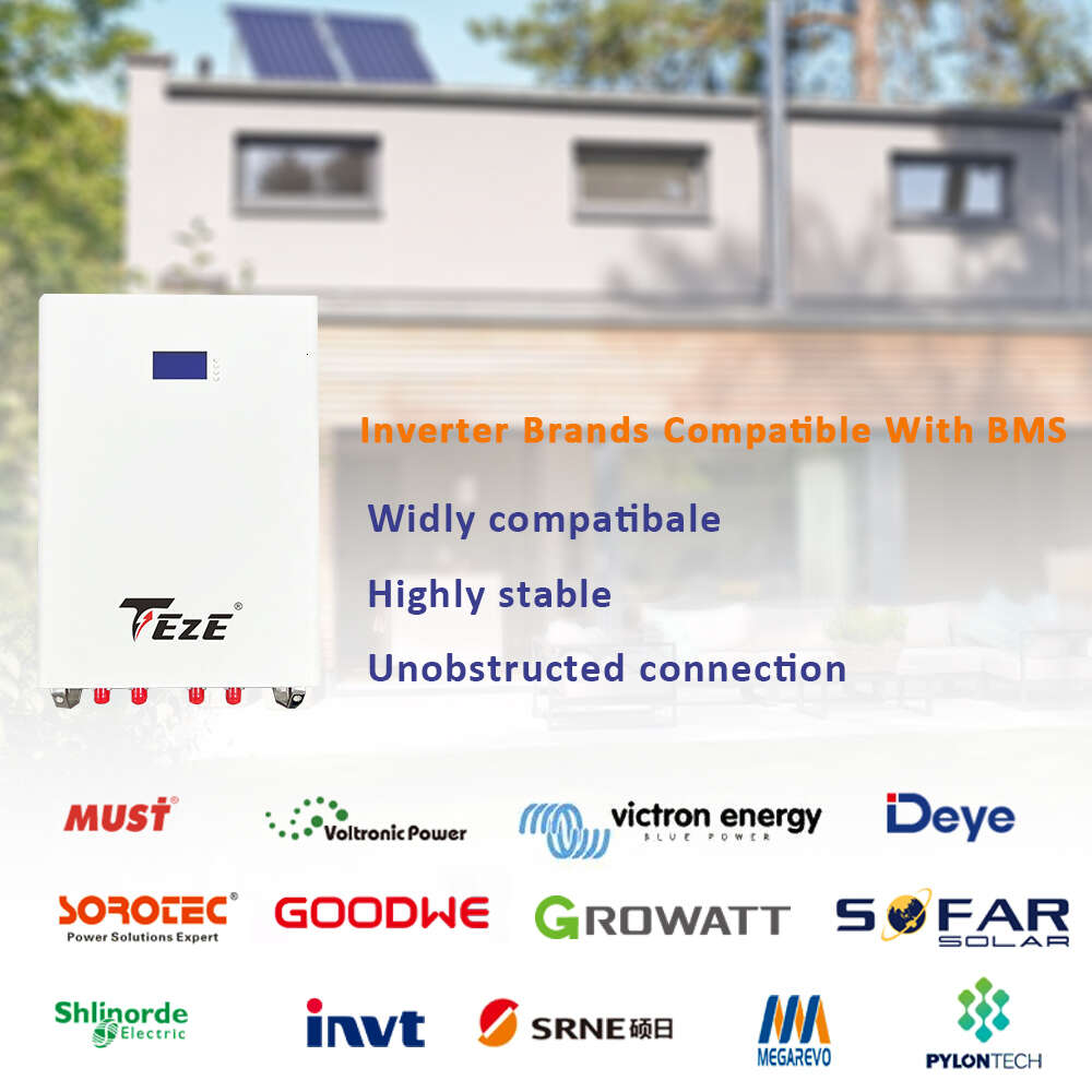 TEZE LiFePO4 48V 200AH Solar Battery Pack 51.2V 10KWH Lithium Battery 6000 Cycle RS485/CAN/Bus For Home Energy Storage EU NO TAX