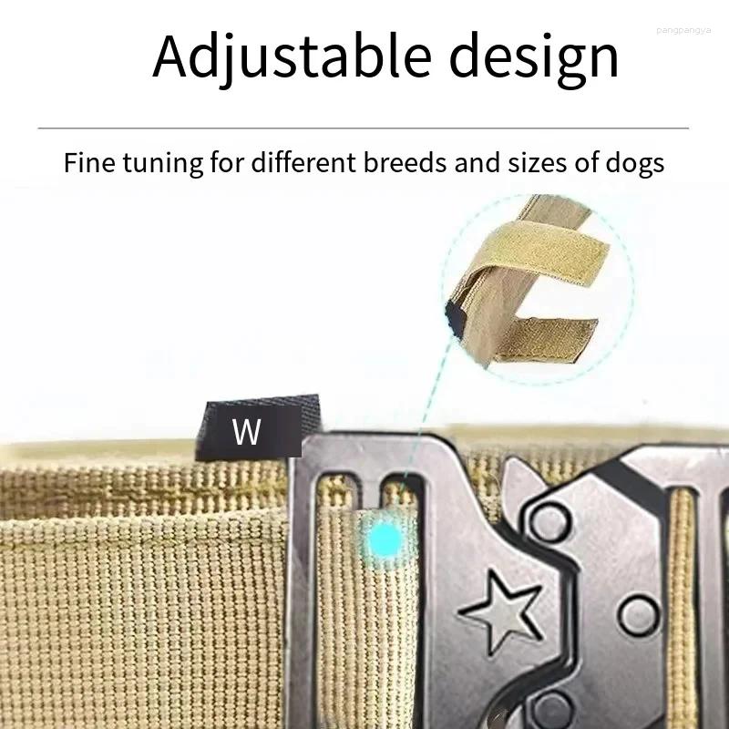 High quality Dog Collar Leash Set Classic Letters Pattern Leashes PU Leather Fashion Casual Adjustable Dogs Cats Neck Strap Cute Pet Collar