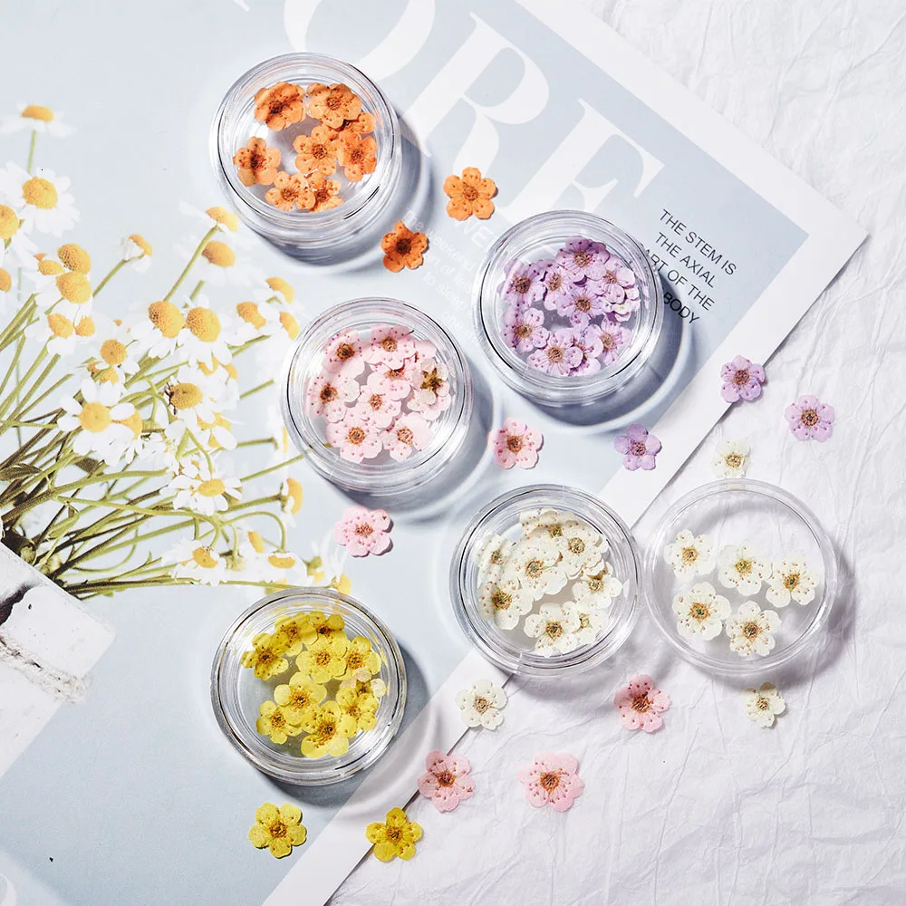 160Pcs/set of mixed dry flower nails 16 color mini genuine natural dry flower nail decoration DIY creative handmade products 240625
