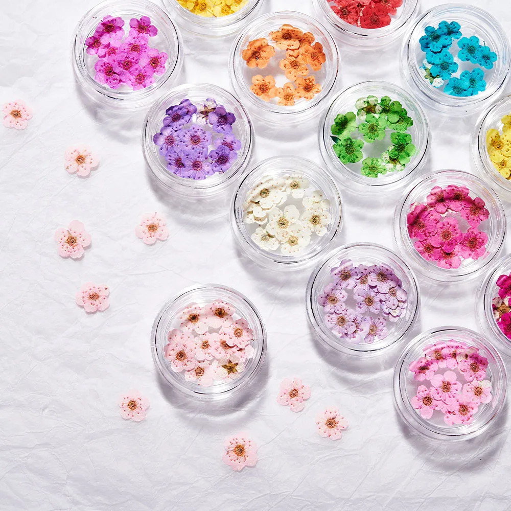 160Pcs/set of mixed dry flower nails 16 color mini genuine natural dry flower nail decoration DIY creative handmade products 240625