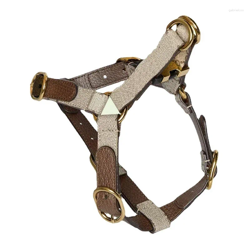 Dog Collars Pet Harness Set Original Design Puppy Lead Accessories Designer And Leash With Pop Bag Sets