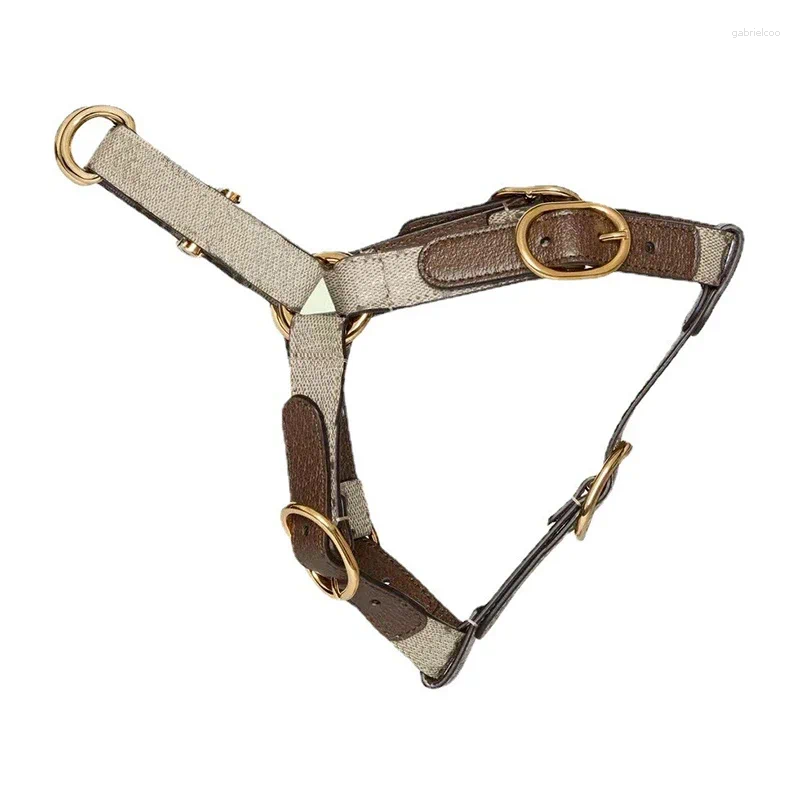 Dog Collars Pet Harness Set Original Design Puppy Lead Accessories Designer And Leash With Pop Bag Sets