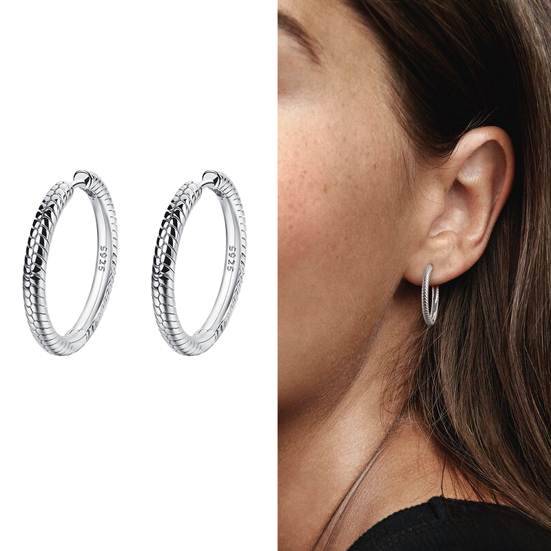 100% 925 Sterling Silver Pendiente Hoop Charm Earrings For Women Earrings Fit Original Charms Earrings Fine Jewelry Joyas Gift