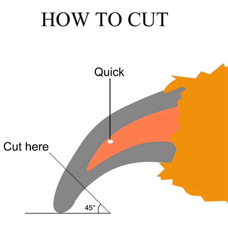 Pet Cat Nail Clipper Cutter Dog Nail Trimmer Steel Nail Trimmer for Dogs Grooming Scissors Clippers for Animals Pet Supplies
