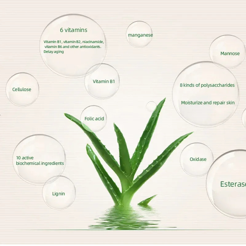 99% Aloe Vera Moisturizer Face Powder Smooth Foundation Pressed Powder Makeup Concealer Pores Cover Brighten Cosmetics 240627