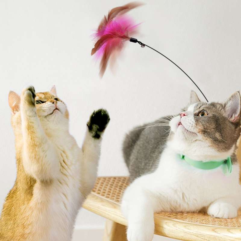 Cat Collar Toys Interactive Cat Toys Cat Teaser Stick Collar Self-help Feather Teaser Stick with Bell for Kittens Juguetes Gatos