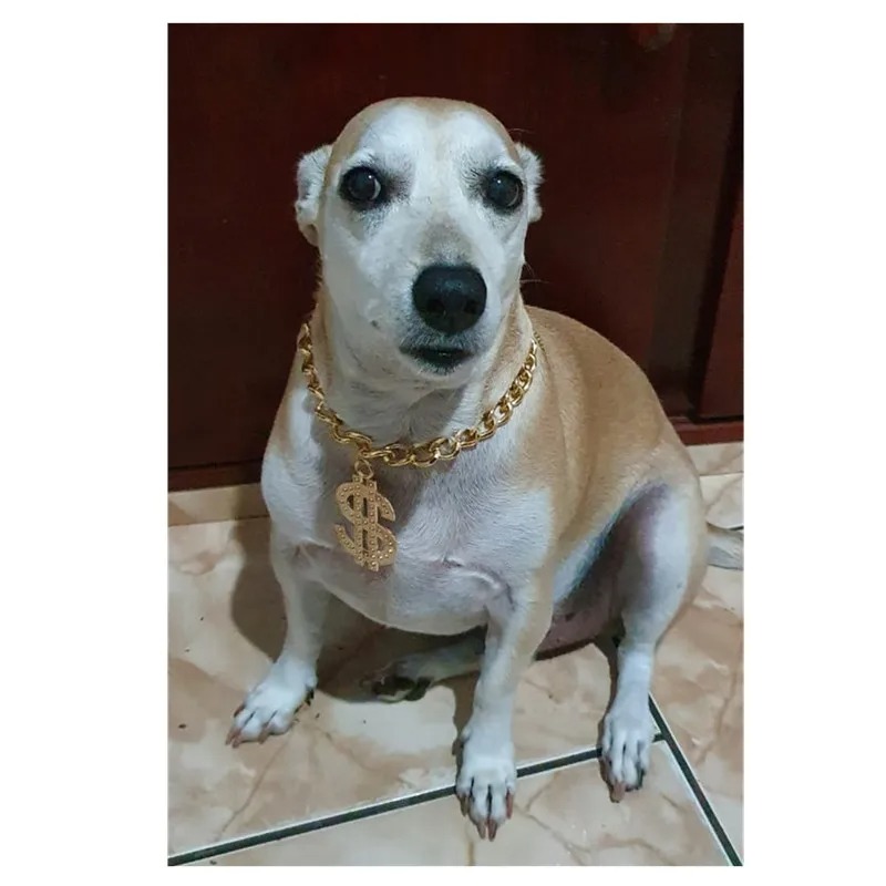 Luxury Dog Collar Necklace for Small Medium Dogs Dollar Sign Pendants Hip Hop Gold/Silver Plated Chain Jewelry Pet Accessories