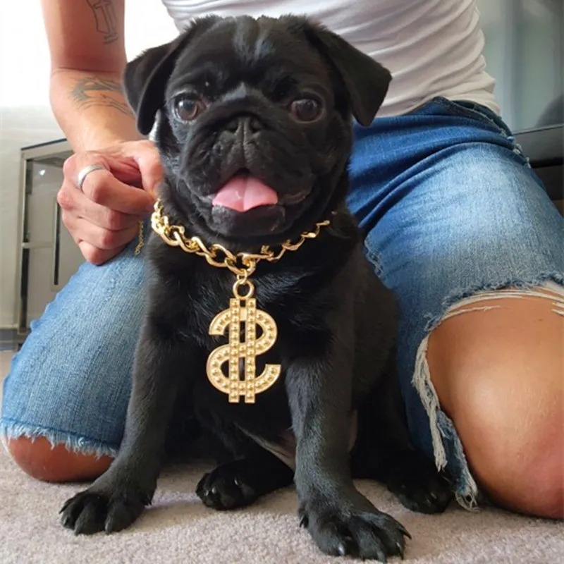 Luxury Dog Collar Necklace for Small Medium Dogs Dollar Sign Pendants Hip Hop Gold/Silver Plated Chain Jewelry Pet Accessories