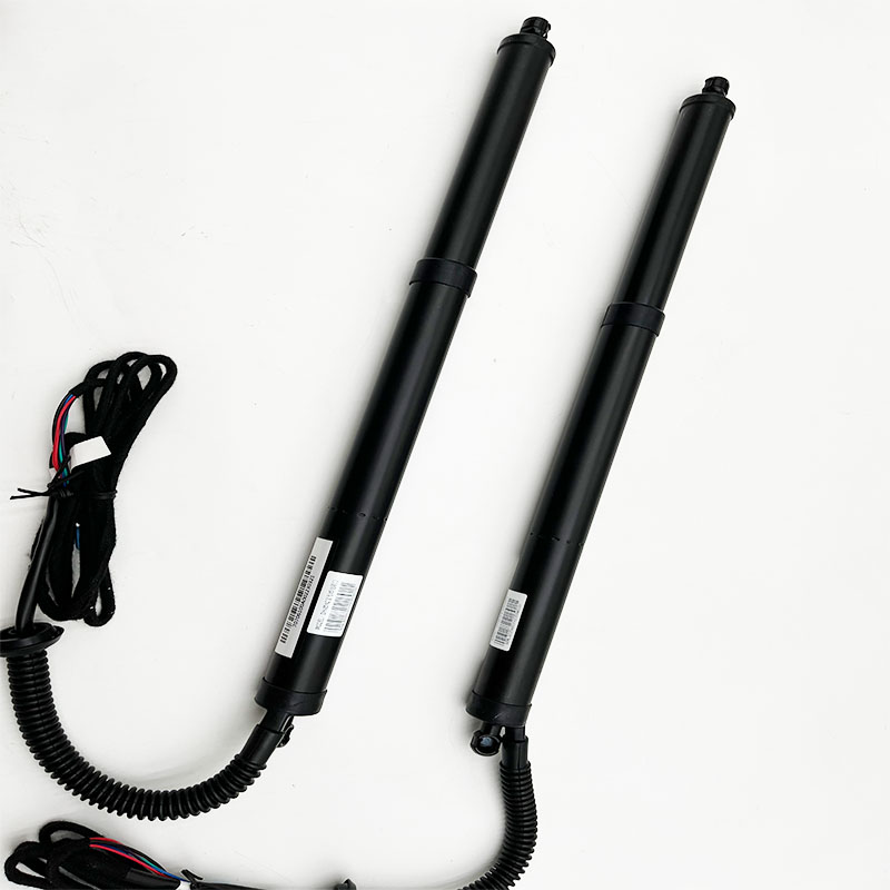Intelligent Electric Tailgate For BYD Dolphin 2022-2023 Custom Modified Car Trunk Support Rod Tail Door Switch