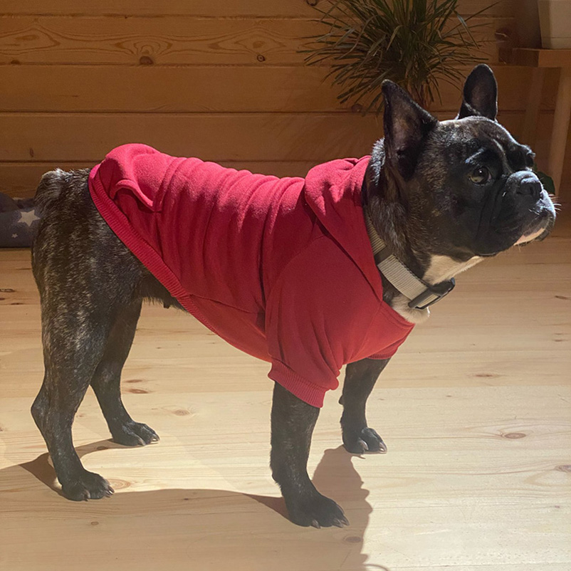 Comfortable Cold Weather Wear for Tiny Canines: Adorable Designer Apparel Collection