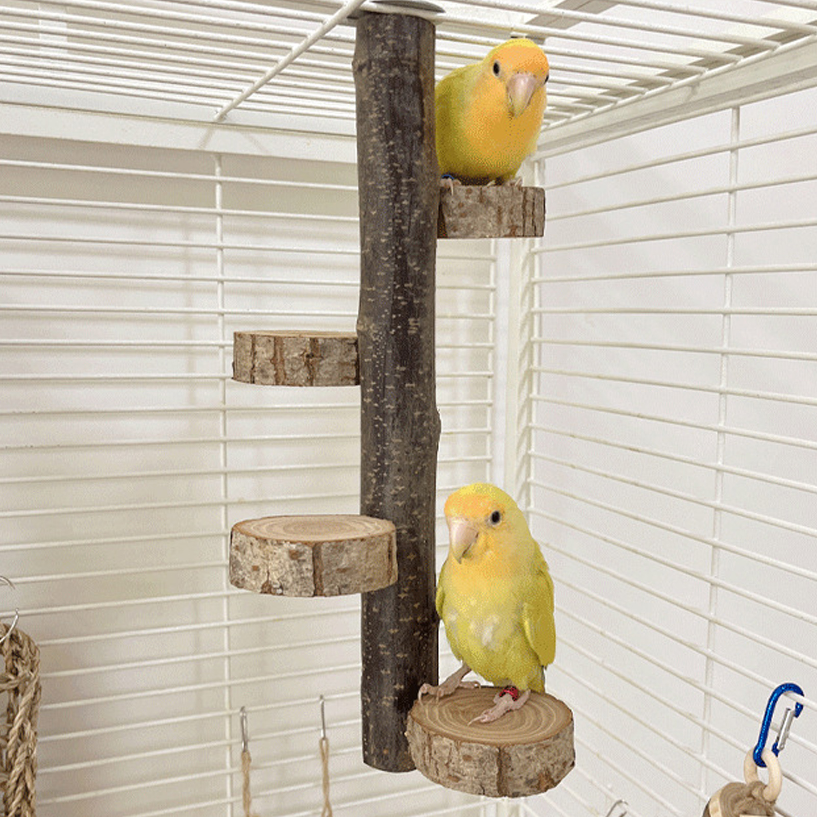 Parrot Hanging Platform Stand Toy Log Safety Durable Bird Platform Stand Toy For Entertainment