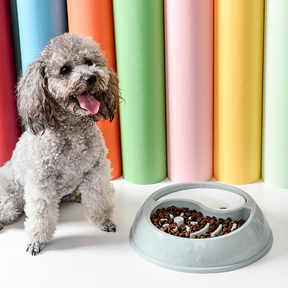 Eat Slow Dog Bowl Slow Feeder Bath Pet Supplies Pet Accessories Dog Slow Feeder Bowl For Cat Pets Slow Feeder Dog Bowl WF923