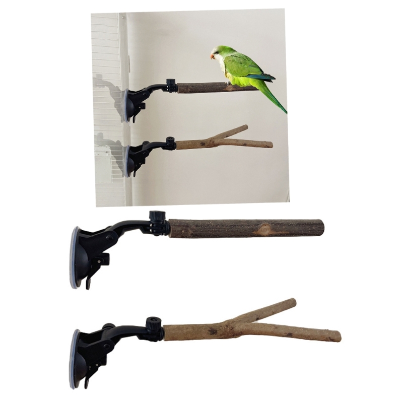 Parakeets Perch Bird Stand Training Perches Suction Cup Stand Bird Playstand Toy