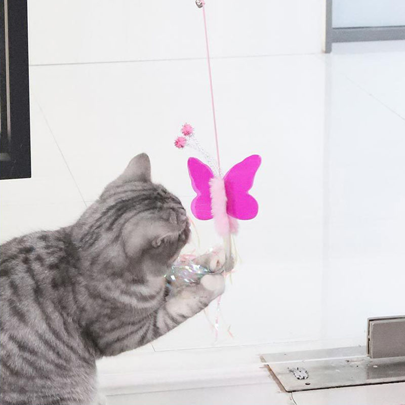 Funny Cat Toys Hanging Retractable Elastic Rope Swing Hanging Door Windows Interactive Toys Playing Indoors Pet Supplies