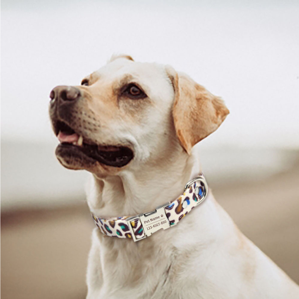 Dog Collars Leash Adjustable Pet Collars for Small Medium Large Dogs and Cat,Canvas Leopard Printing Collar Soft and Comfortable
