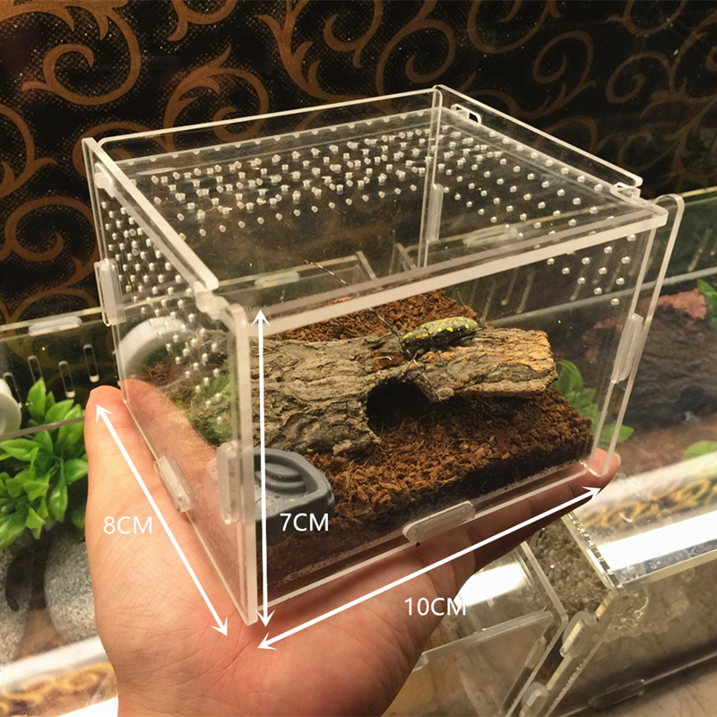 transparent acrylic box Terrarium for reptile and amphibian cricket Turtle Spider snail Glass shelter terarium terraria gecko