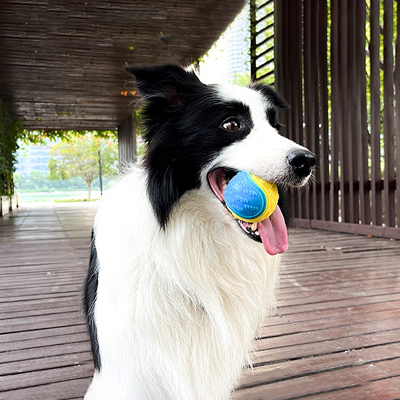 Rubber Elastic Ball Puppy Funny Dog Toys Durable FloatableSqueaking Bite Resistant Dog Toys Teeth Cleaning Toy Pet Products