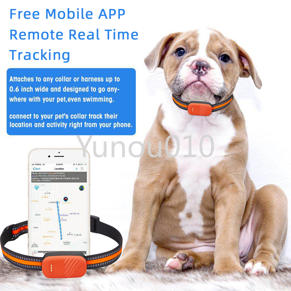 Collar With GPS Tracker Waterproof 4G Pet Collar Tracker for Cats Dogs Real-time Anti-lost Alarm Remote Real Time Gps Locator