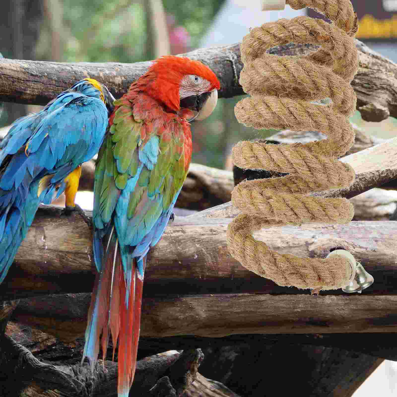 Climbing Rope Toy Parrot Bell Bird Perch Accessories Plaything Parakeet Toys for Cage Swing Stand