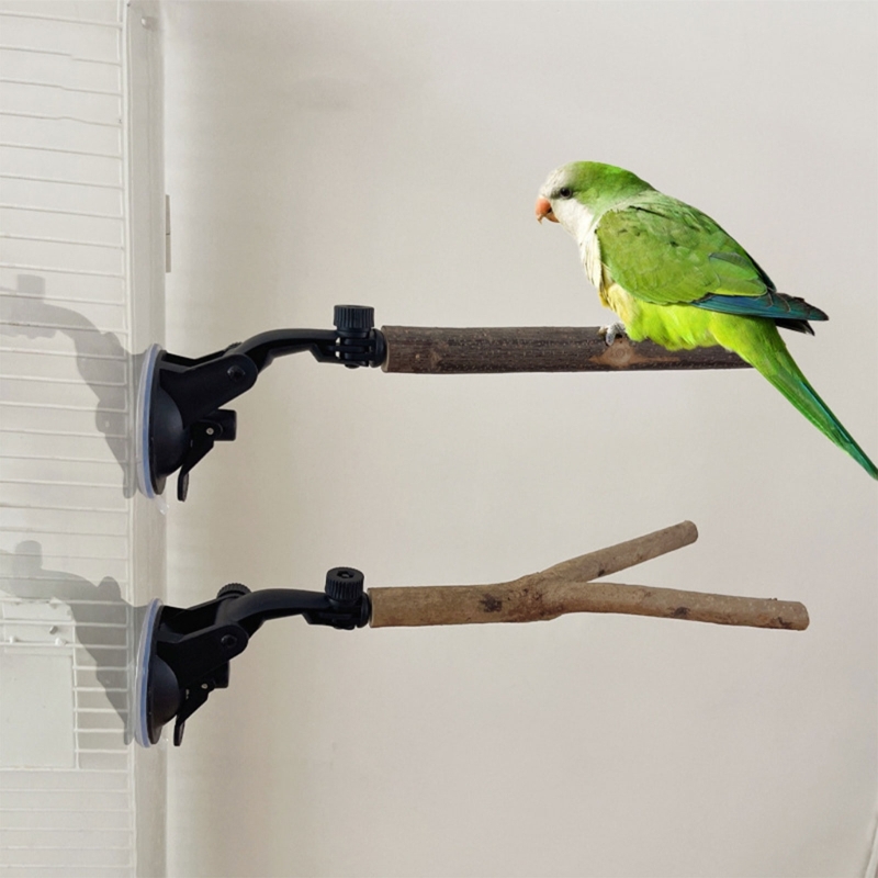 Parakeets Perch Bird Stand Training Perches Suction Cup Stand Bird Playstand Toy
