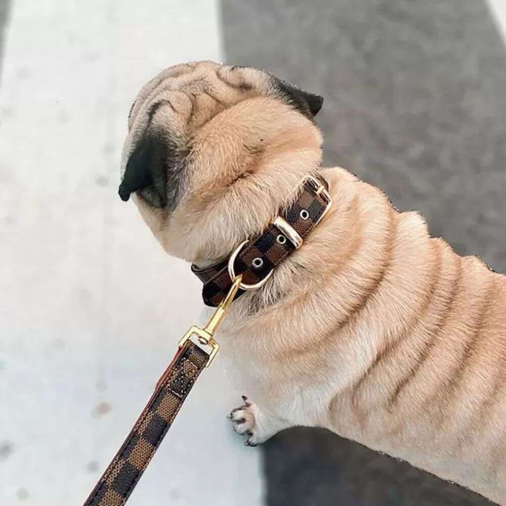 Comfortable Skin Feel PU Leather Small and Medium sized Dog Neck Cat Collar Pet Supplies Cat collar leash high quality