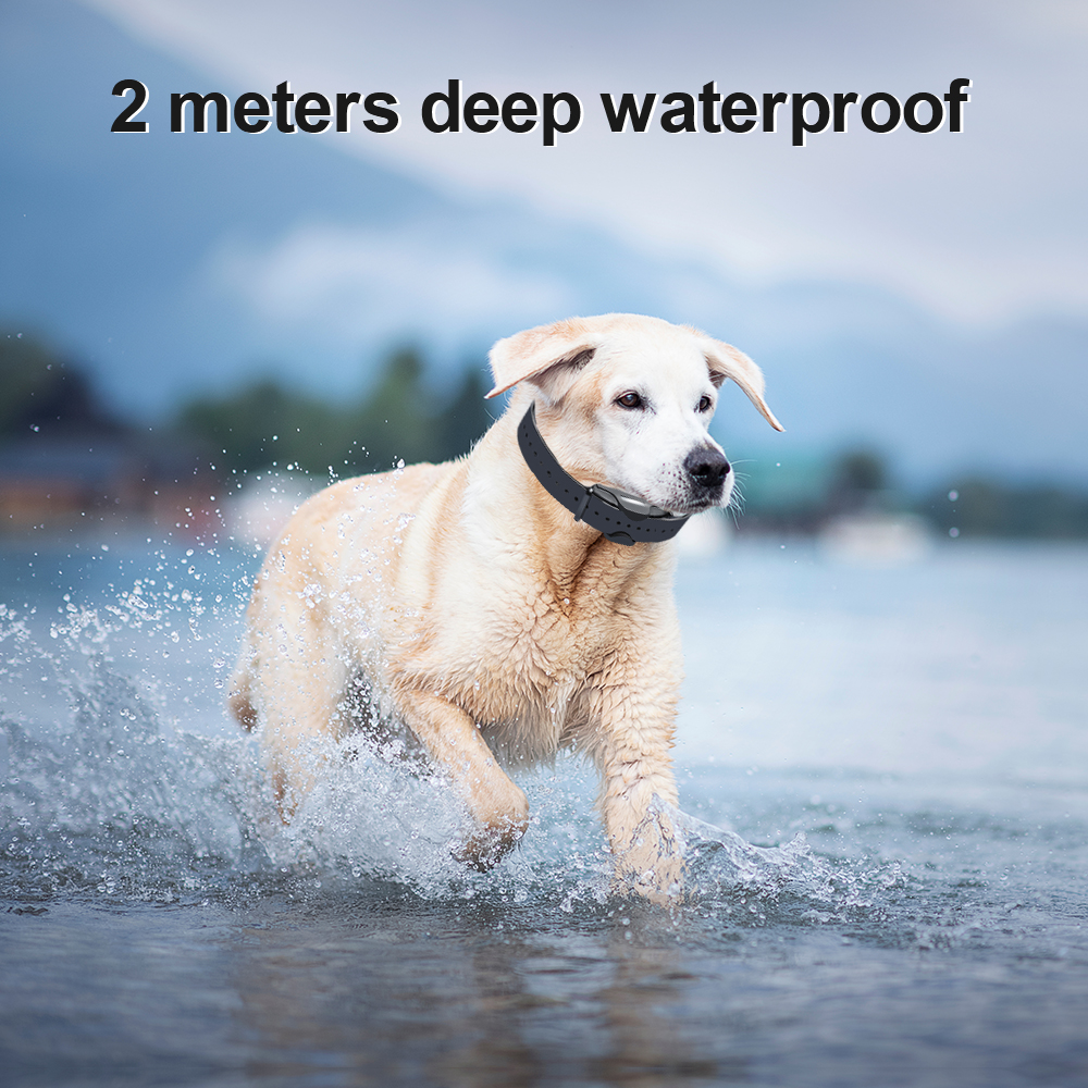 Safe Perimeter Electric Dog Fence Wire & Remote Dog Training, Above No Dig or Underground Wire Fence