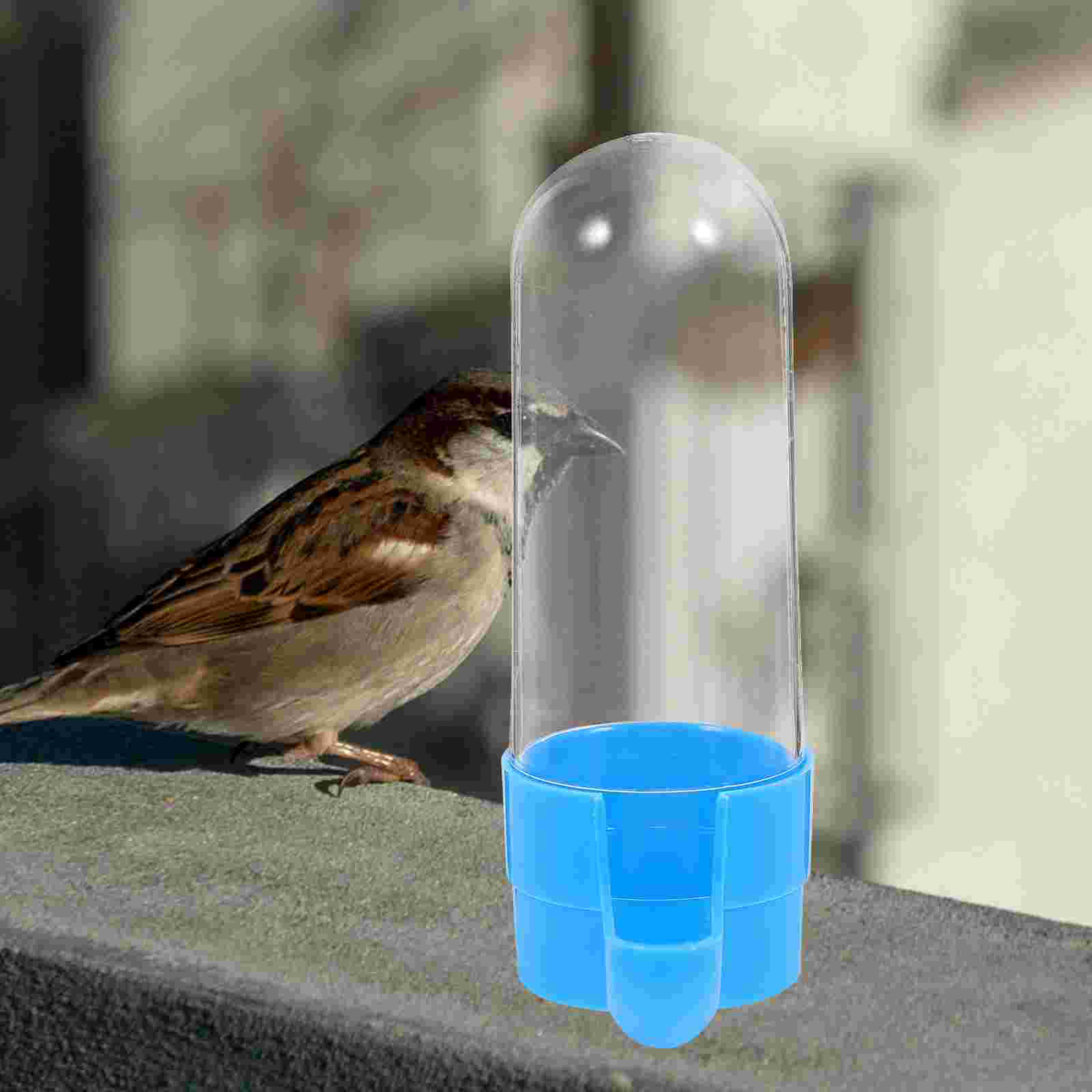 2 Pcs Squirrel Feeder Bird Drinker Bowl Parrot Food Container Water Fountain Automatic Cage Accessory Feeding