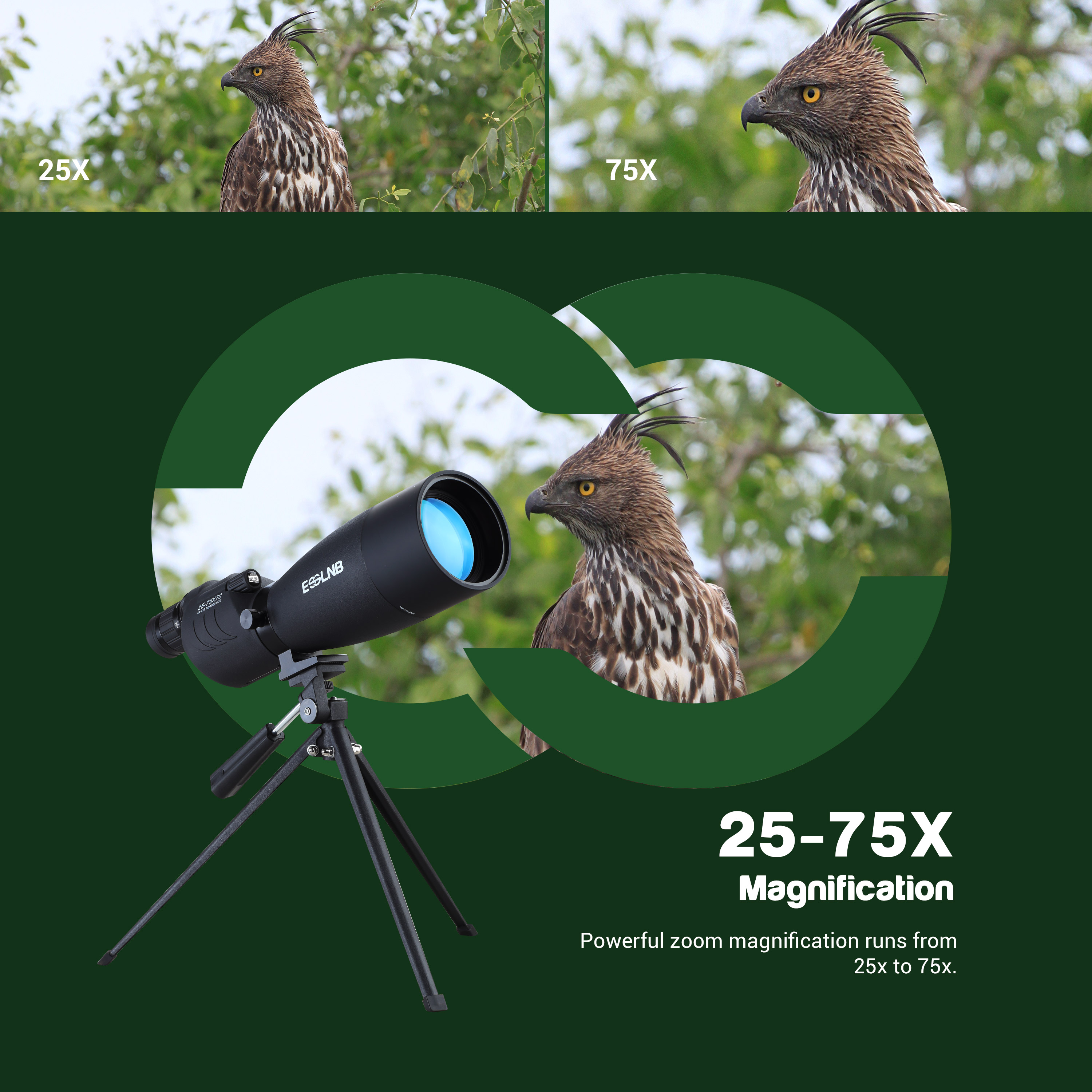Spotting Scope with Tripod Cell Phone Adapter 25-75 X 70 BAK4 Target Scope Straight Eyepiece Waterproof Spotting Scopes