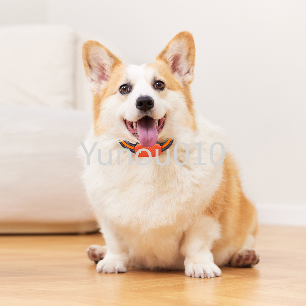 Collar With GPS Tracker Waterproof 4G Pet Collar Tracker for Cats Dogs Real-time Anti-lost Alarm Remote Real Time Gps Locator