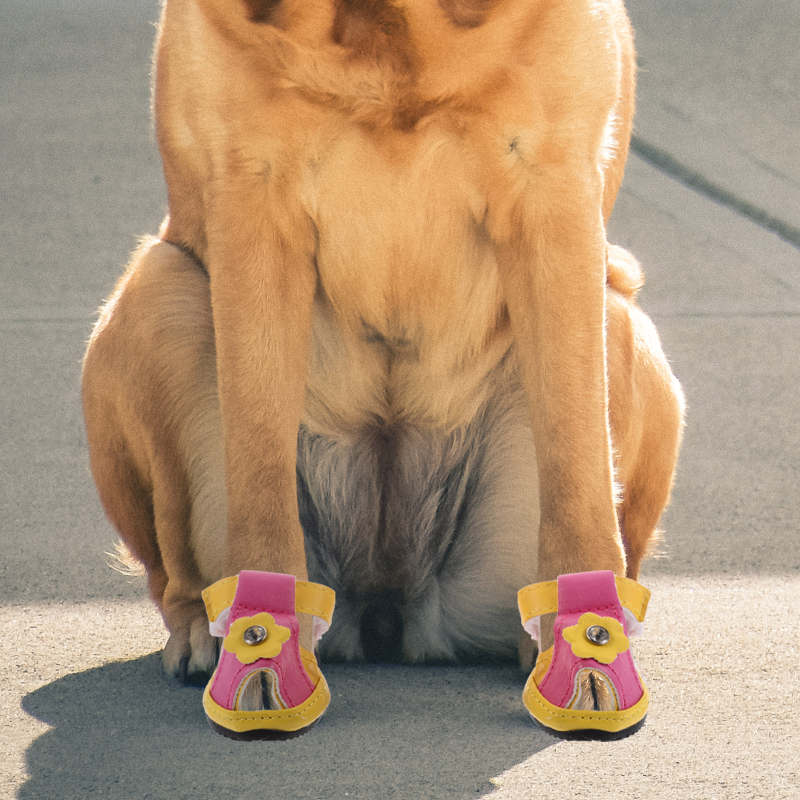 4pcs Summer Breathable Pets Dog Shoes PU Floral Sandals Anti-slip Shoes Pet Supplies (Yellow) - Size 2