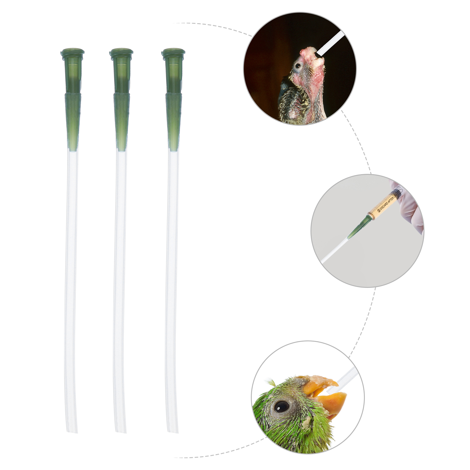 Popetpop Puppy Food Birds Feeding Hose Plastic Bird Feeding Tubes Pets Sick Birds Feeding Tools Milk Water Food Feeder