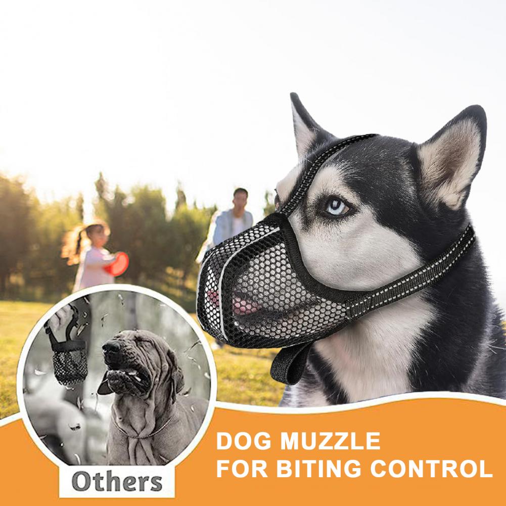 Anti-biting Dog Muzzle Buckle Adjustment Dog Muzzle Breathable Mesh Dog Muzzle for Medium Dogs Adjustable for Scavenging