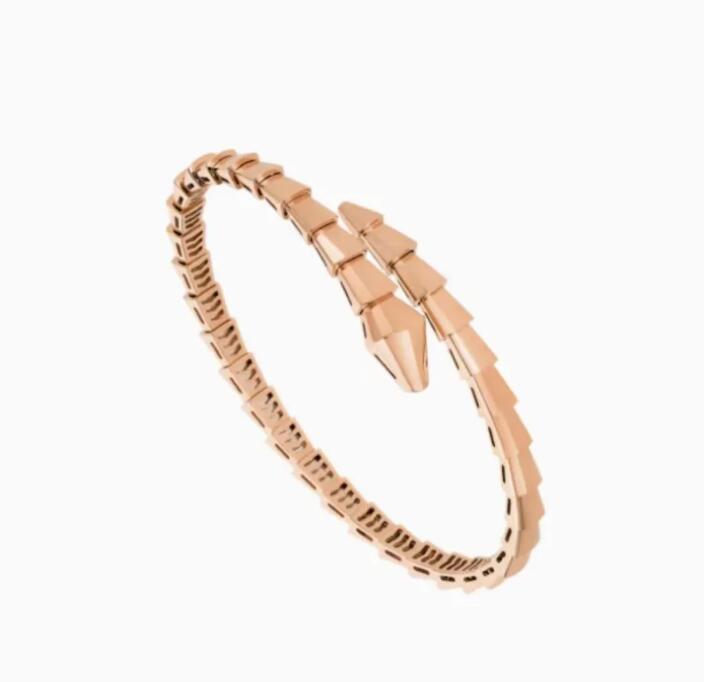 Charm Bracelets Designer Jewelry Narrow Single Circle Snake Designers Bracelet Gold Bracelets Bangle Party Birthday Gift High Quality 25