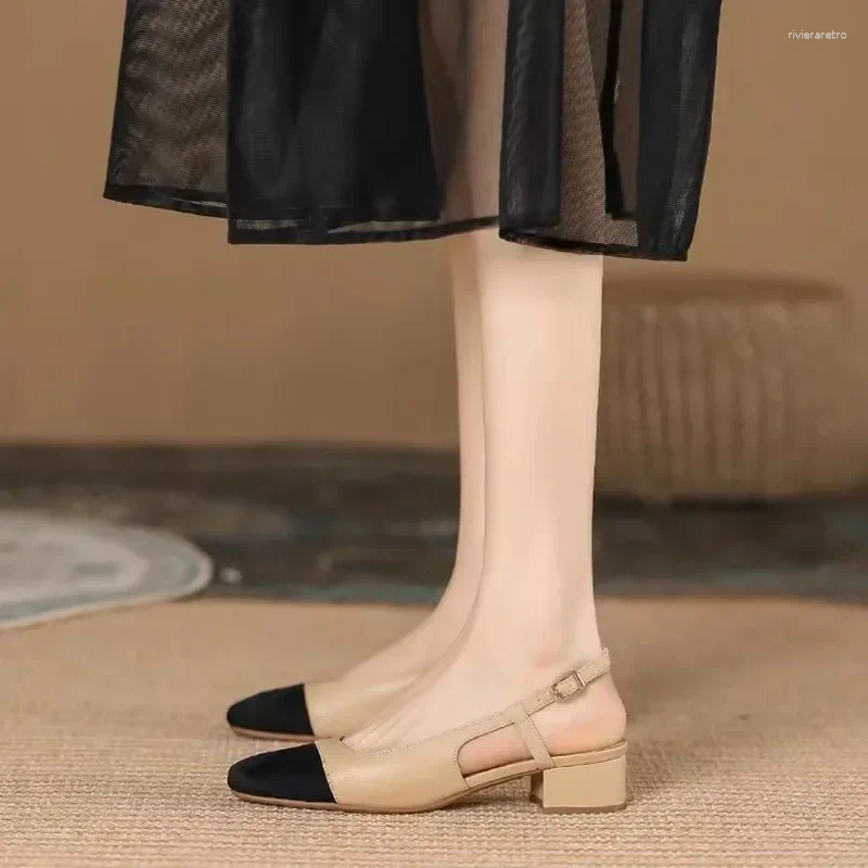 Casual Shoes 2024 Female Spring Women's Pumps Fashion Office Women Mixed Colors Buckle Strap Low Square Heel Sandals