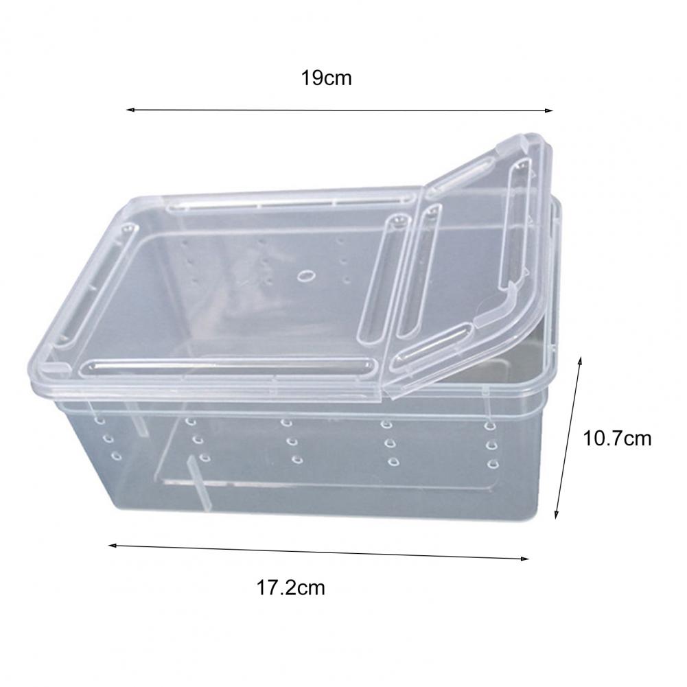 Small Pet Reptiles Living Box Reptile Terrarium Habitat Scorpion Spider Ants Lizard Breeding Case Hatching Container Rearing Box