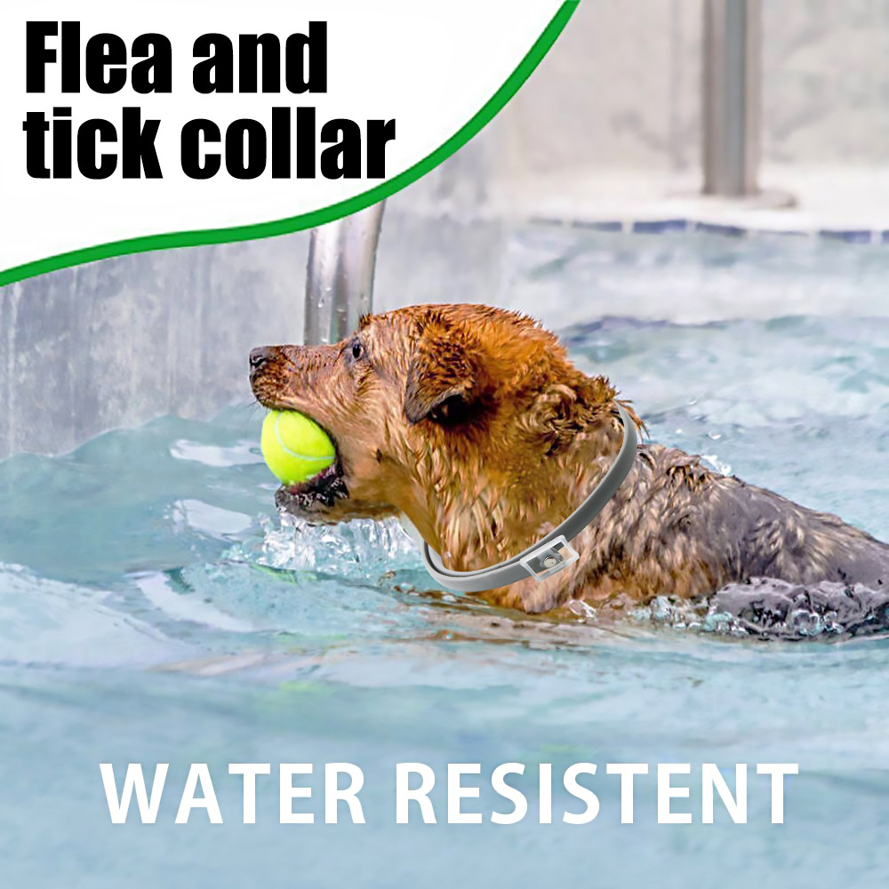 8 Month Protection Flea & Tick Collar Silicone Anti-mosquito Cat Necklace Wear Resistant Adjustable Pet Supplies Corgi