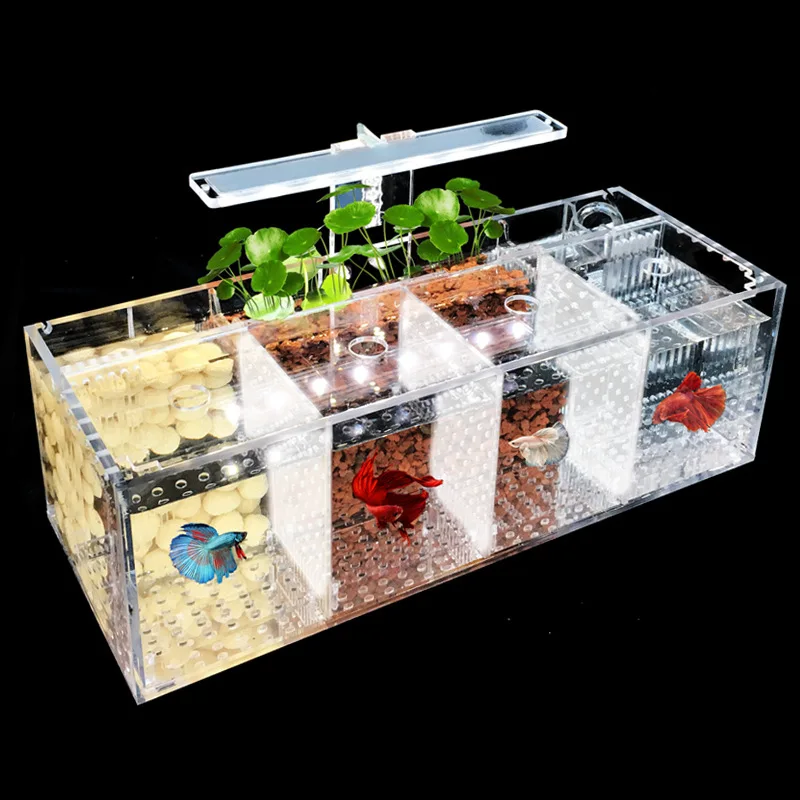 Aquarium Acrylic Fish Tank Breeding Isolation Box Goldfish Fighting Fish Viewing Tank Small Fry Breeder Isolations Box Supplies