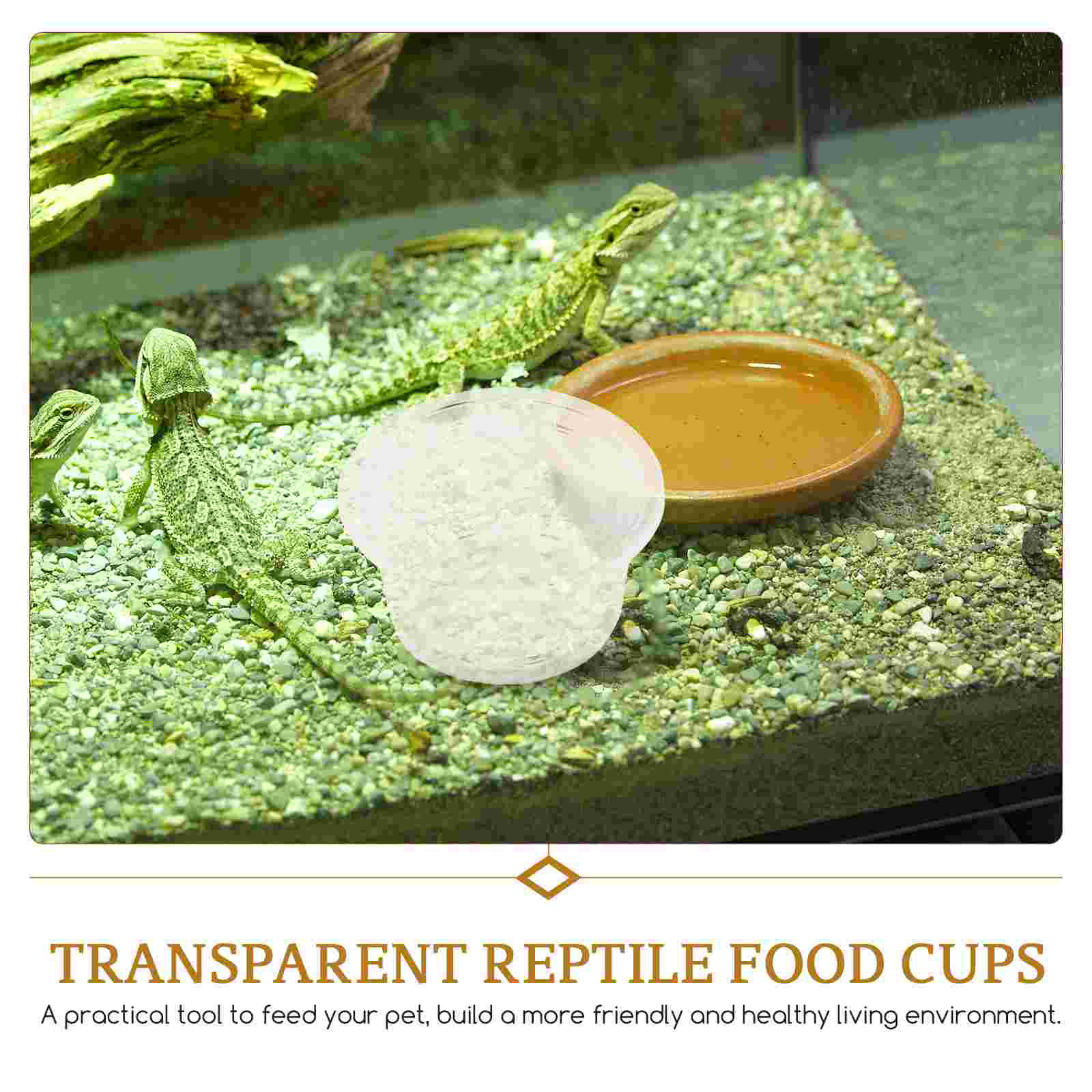 20 Pcs Gecko Leopard Print Reptile Water Box Animal Ledge Cups Food Plastic Crested Dish Reusable Household