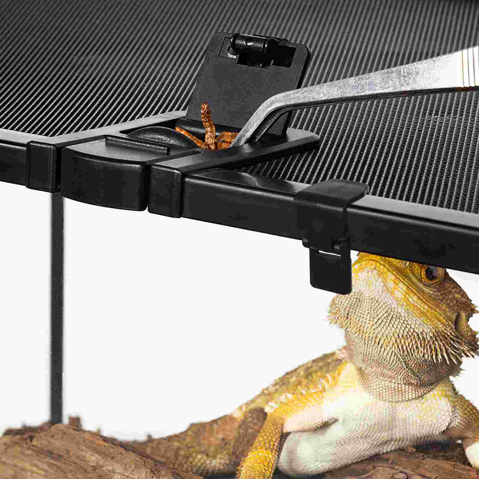 6 Pcs Cylinder Lock Animal Turtle Terrarium Buckle Reptile Glass Tank Plastic Parts Latch Baby Pet Feeding