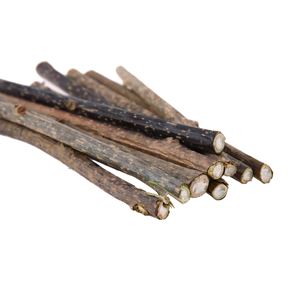 10/20/30/50 Pcs Natural Cat nip Pet Cat Molar Toothpaste Stick Actinidia Fruit Silvervine Cat Snacks Sticks Pet Cleaning Teeth