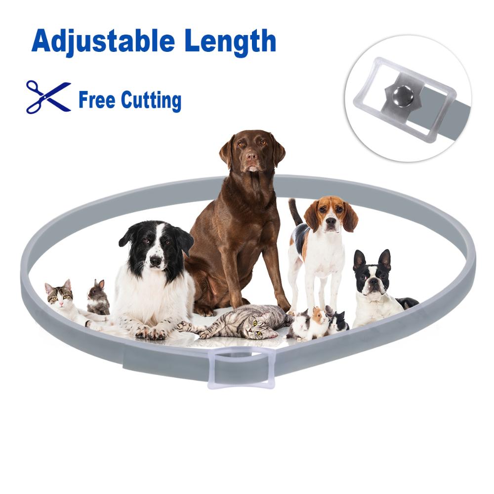 Silicone And For Dogs Cats Up To 8 Month Flea Tick Dog Collar Anti-mosquito and insect Pet collars