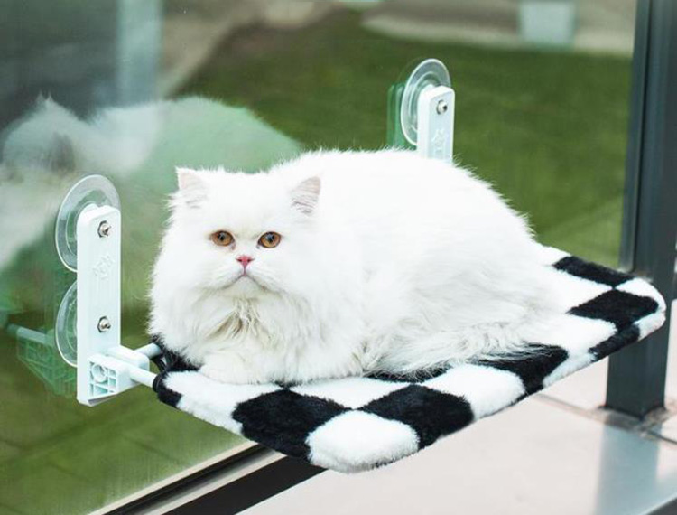 Most Popular Cat Hammock Cat Bed For Window Cat Window Perch